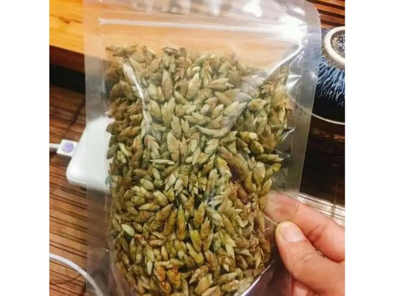 Cách bảo quản trà móng rồng