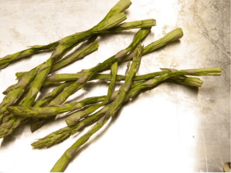 Măng tây sấy khô bằng máy sấy lạnh