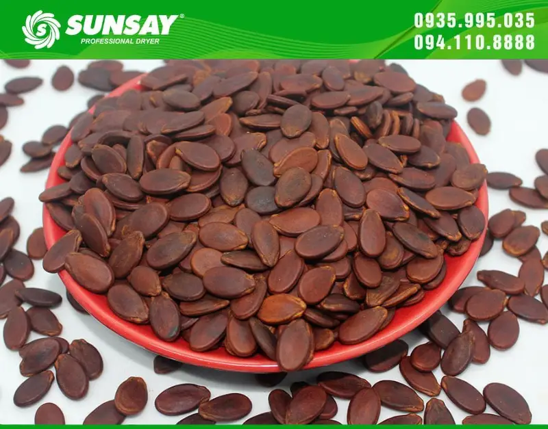 Hạt dưa sấy khô