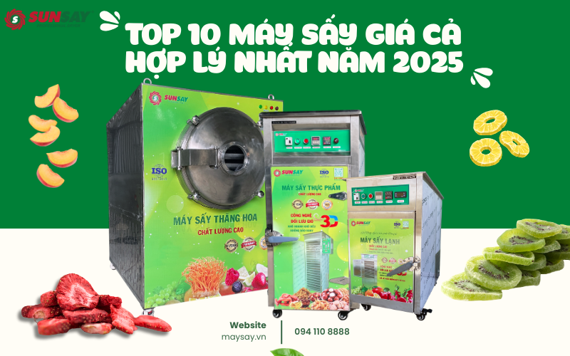 TOP 10 máy sấy giá cả hợp lý nhất năm 2025