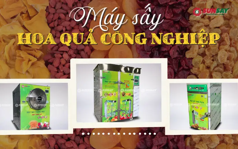 Máy sấy hoa quả công nghiệp