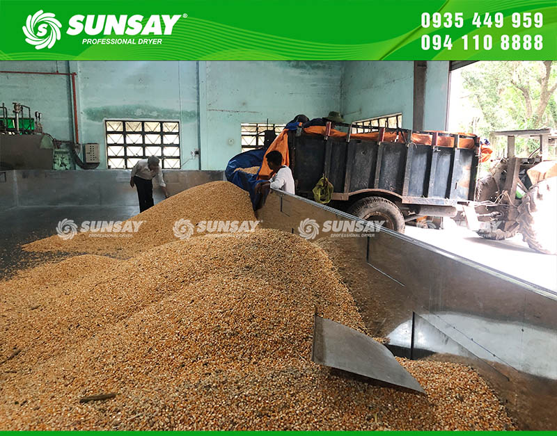 Cung cấp hệ thống sấy bắp công suất lớn 20 tấn đến Bình Dương - SUNSAY tiếp tục khẳng định uy tín