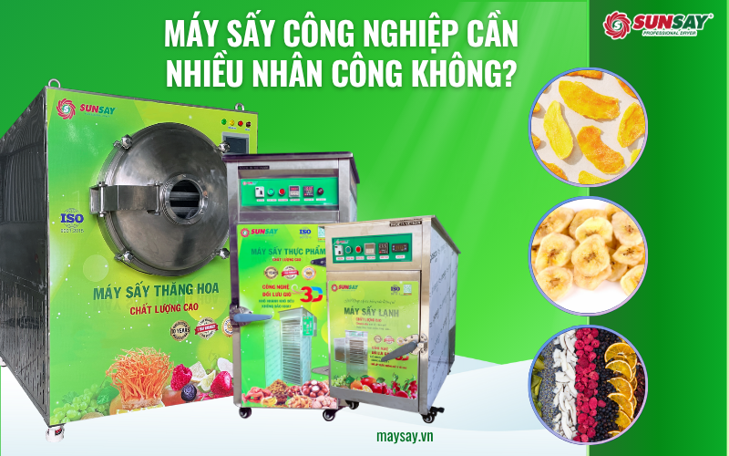 Máy sấy công nghiệp cần nhiều nhân công không?