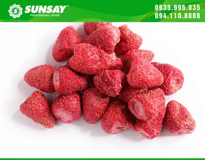 Dâu tây sấy giòn bởi máy sấy thăng hoa SUNSAY