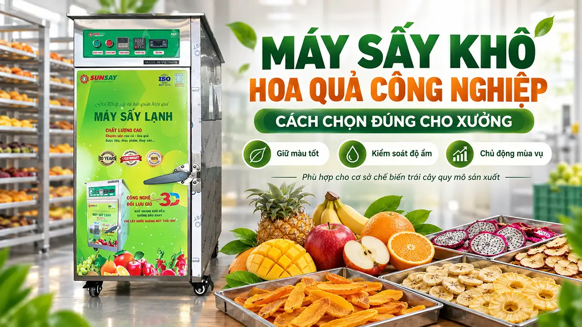 Máy sấy khô hoa quả công nghiệp: Cách chọn đúng cho xưởng