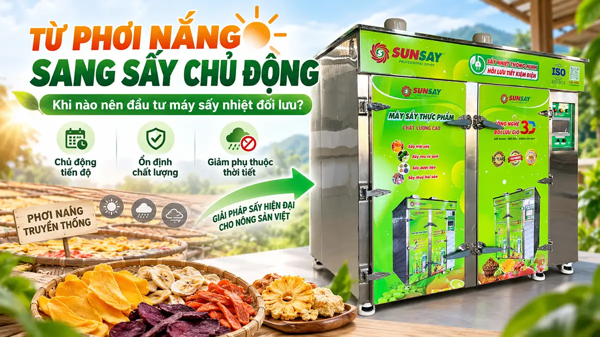 Đầu tư máy sấy nhiệt đối lưu thay thế phơi nắng: Khi nào nên chuyển đổi?